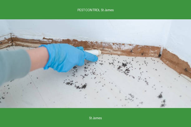 PEST CONTROL St James